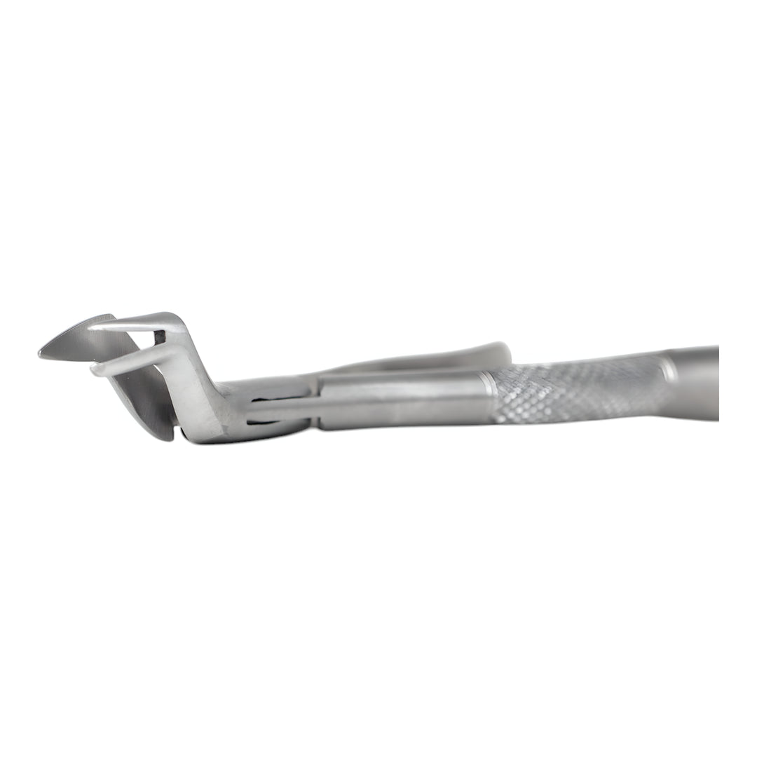 ValdentUSA #88L Extracting Forceps, American Pattern, Single Instrument