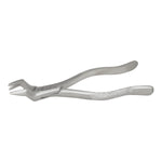 Load image into Gallery viewer, ValdentUSA #88R Extracting Forceps, American Pattern, Single Instrument