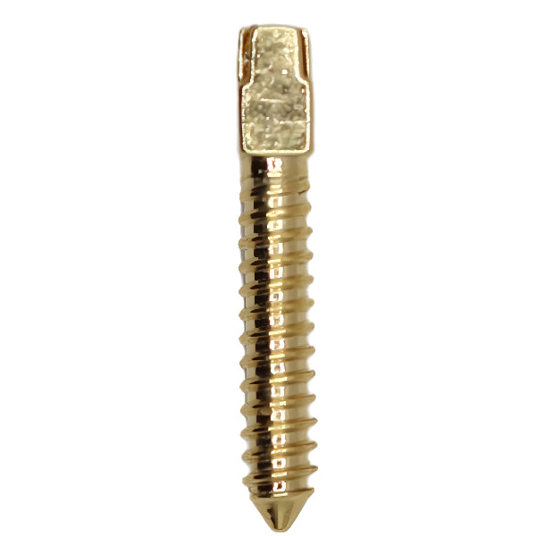 ValdentUSA Gold-Plated Screw Post Refill - L6, #6 Long 11.8mm, Package of 12