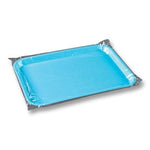 Load image into Gallery viewer, Plasdent Tray Sleeve, Mini Size F - 7-1/2&quot; x 10-1/2&quot; 500/Pk. Plastic tray
